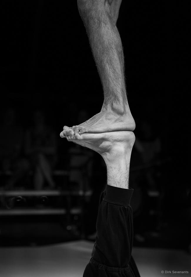 Dirk Sevenants